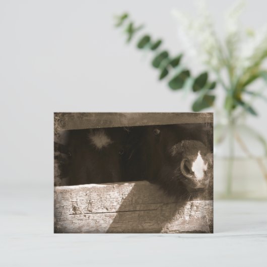 Mini-Nase über Gate Postkarte (Stehend Vorderseite)