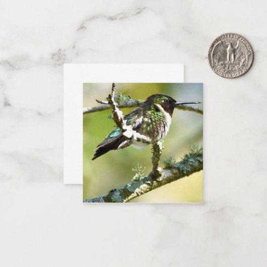 Mini-Notecards von personalisiert Hummingbird Mitteilungskarte (Vorderseite/Rückseite Beispiel)