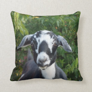 Mini-Nubian-Milchziegenkissen Kissen