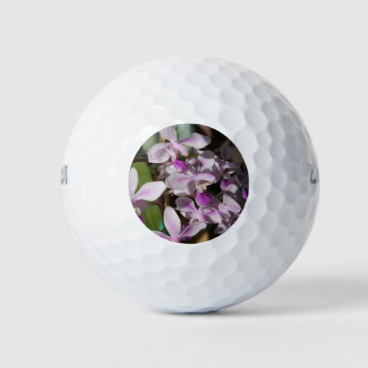 Mini-Orchideen Golfball (Vorderseite)