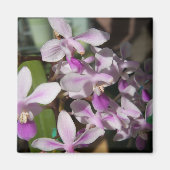 Mini-Orchideen Magnet (Vorne)