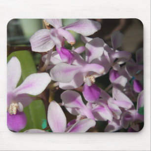 Mini-Orchideen Mousepad