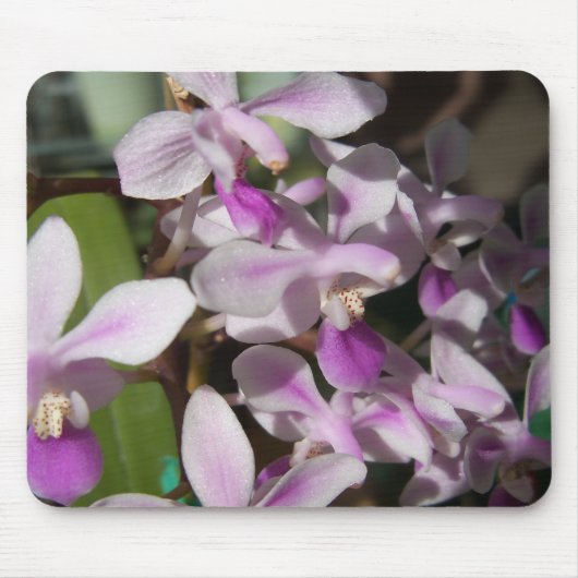 Mini-Orchideen Mousepad (Vorne)