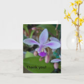 Mini-Orchideen nah Karte (Gelbe Blume)