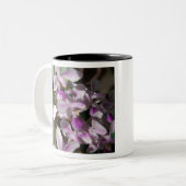 Mini-Orchideen Zweifarbige Tasse (Vorderseite Links)