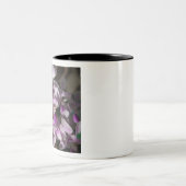 Mini-Orchideen Zweifarbige Tasse (Mittel)