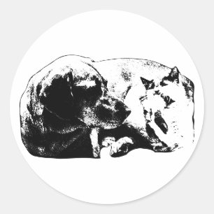 Mini Pals - Hund trifft Katze Runder Aufkleber