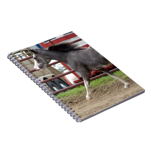 Mini-Pferd in der Freiheitsklasse Notizblock (Rechte Seite)