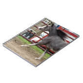 Mini-Pferd in der Freiheitsklasse Notizblock (Linke Seite)