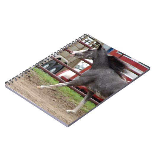 Mini-Pferd in der Freiheitsklasse Notizblock (Linke Seite)