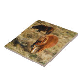 Mini-Pferdchen Fliese (Seite)