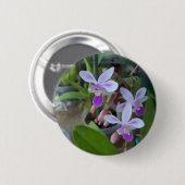 Mini-Phal-Orchideen Button (Vorne & Hinten)