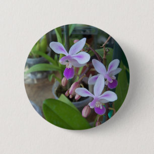Mini-Phal-Orchideen Button