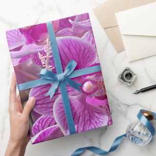 Mini Phalaenopsis Sogo Vivien Lila Orchid Blume Geschenkpapier