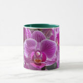Mini Phalaenopsis Sogo Vivien Lila Orchid Blume Tasse (Zentrum)