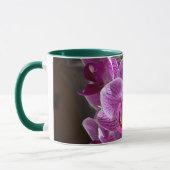 Mini Phalaenopsis Sogo Vivien Lila Orchid Blume Tasse (Links)