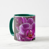 Mini Phalaenopsis Sogo Vivien Lila Orchid Blume Tasse (Vorderseite Links)