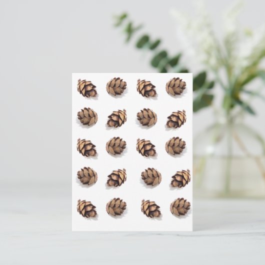 Mini Pine Cones on White Postkarte (Stehend Vorderseite)