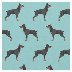 Mini-Pinscher-Hund-Blau Stoff