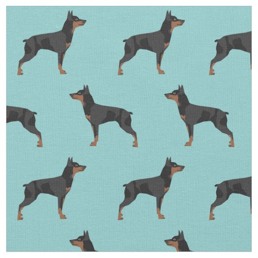 Mini-Pinscher-Hund-Blau Stoff (Nahaufnahme)