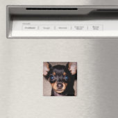 Mini-Pinscher. Magnet (In Situ (Geschirrspüler))