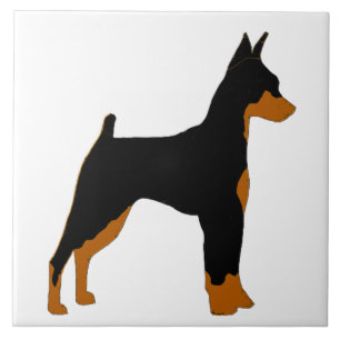 Mini-Pinscher-Schwarz und Rost-Silhouette Fliese