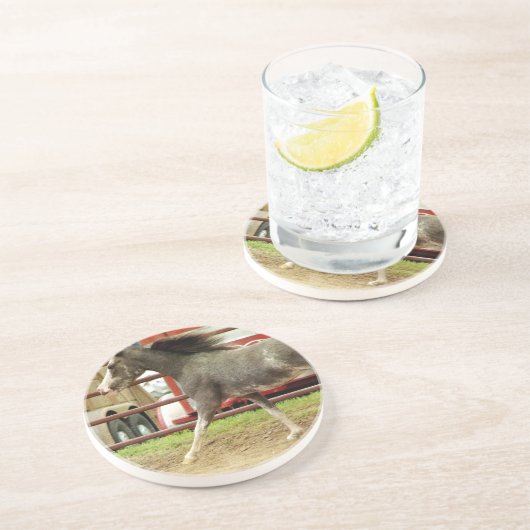 Mini Pinto Horse Gallops Untersetzer (Seite)