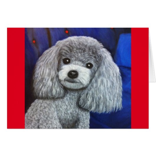 Mini-Poodle (Vorderseite (Horizontal))