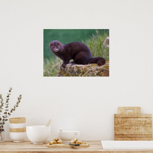 Mini-Print Poster (Küche)