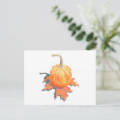 Mini Pumpkin auf Eichenholz Postkarte (Stehend Vorderseite)