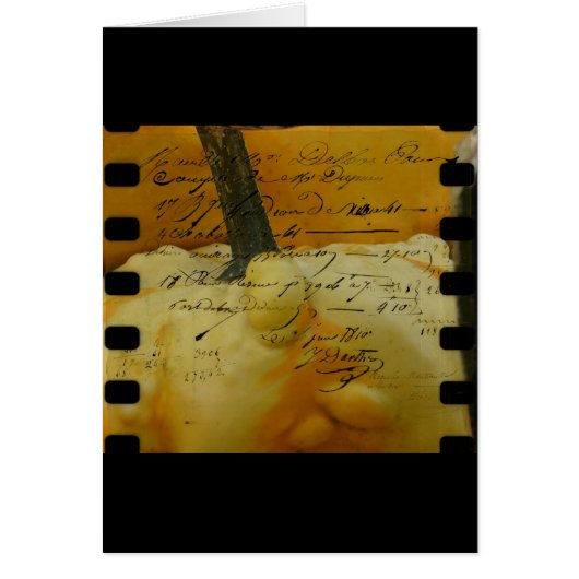 Mini Pumpkins (Vorne)