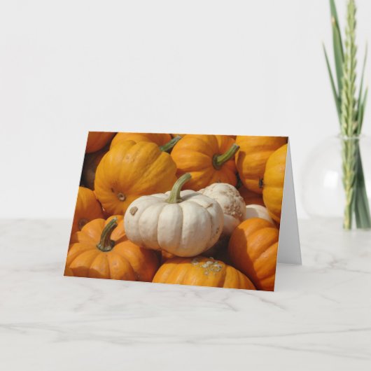 Mini Pumpkins, Erntedank Feiertagskarte (Vorderseite)