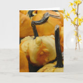 Mini Pumpkins Karte (Gelbe Blume)