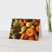 Mini Pumpkins und Gourds Sortiment Fall Foto 2 Karte (Vorderseite)