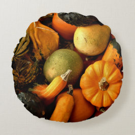 Mini Pumpkins und Gourds Sortiment Fall Foto 2 Rundes Kissen