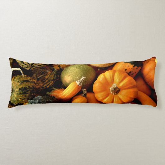 Mini Pumpkins und Gourds Sortiment Fall Foto 2 Seitenschläferkissen (Vorderseite)