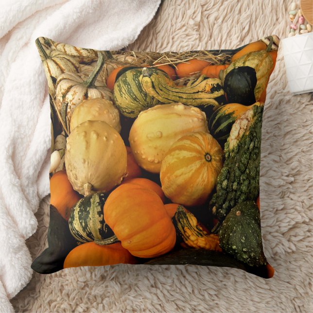 Mini Pumpkins und Gourds Sortiment Fall Foto Kissen (Decke)