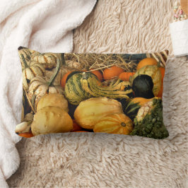 Mini Pumpkins und Gourds Sortiment Fall Foto Lendenkissen