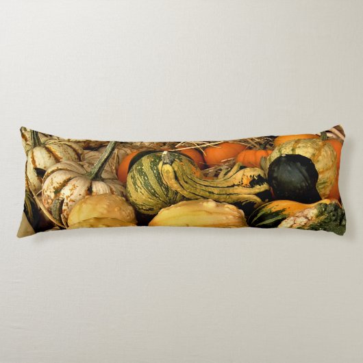 Mini Pumpkins und Gourds Sortiment Fall Foto Seitenschläferkissen (Vorderseite)