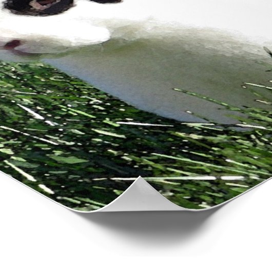 Mini Rex Hasenposter Poster (Ecke)