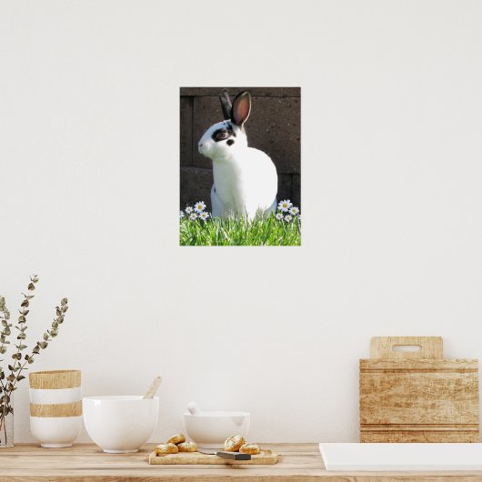 Mini-Rex mit Molsen Poster (Küche)