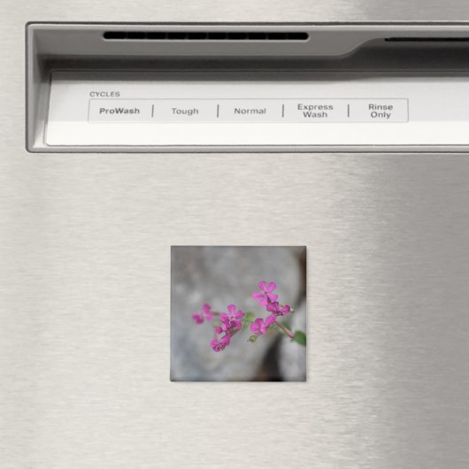 Mini-Rosa Blume mit Steinen Magnet (In Situ (Geschirrspüler))