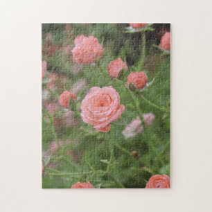 Mini-Rosen Puzzle