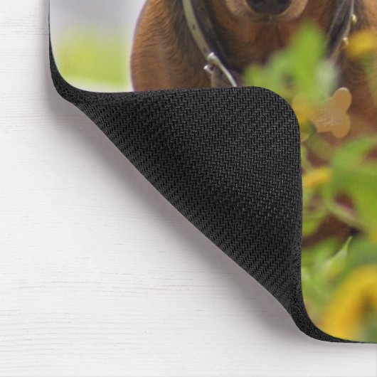 Mini rote Dackel Mousepad (Ecke)