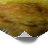 Mini-Schinken und Käse Poster (Ecke)