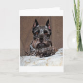 Mini-Schnauzer 2 Feiertagskarte (Vorderseite)