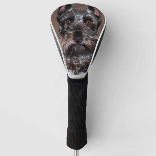 Mini-Schnauzer 2 Golf Headcover (Vorderseite)