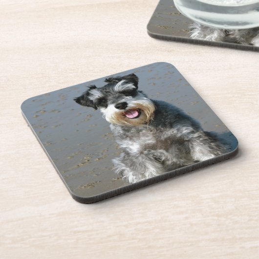 Mini schnauzer-am beach.png getränkeuntersetzer (Linke Seite)