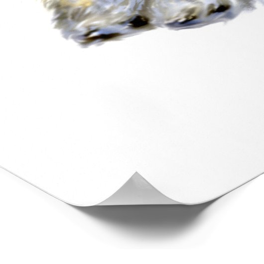 Mini Schnauzer Buddies Poster (Ecke)