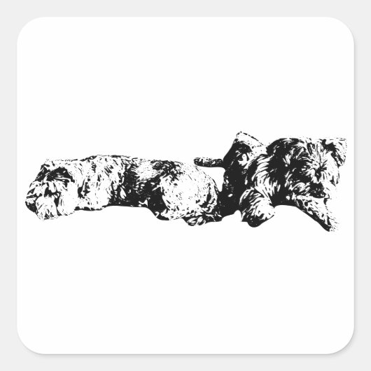 Mini Schnauzer Duo – Bold Black & White Sticker (Vorderseite)